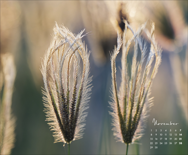 Floral Art 2027, Innenansicht #11