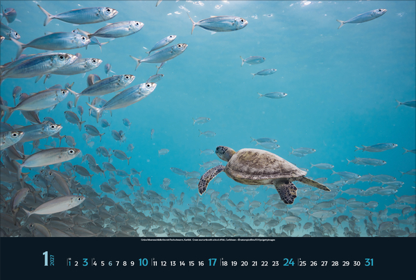 Magie der Meere 2027, Innenansicht #1