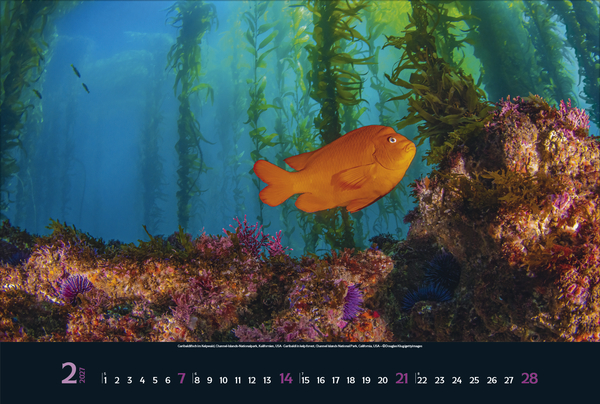 Magie der Meere 2027, Innenansicht #2