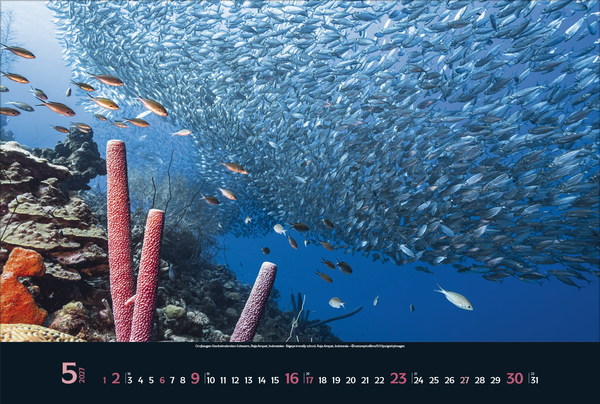 Magie der Meere 2027, Innenansicht #5