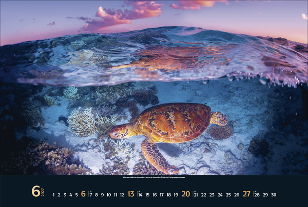 Magie der Meere 2027, Innenansicht #6