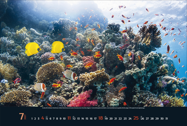 Magie der Meere 2027, Innenansicht #7