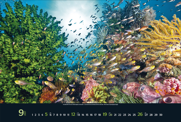 Magie der Meere 2027, Innenansicht #9