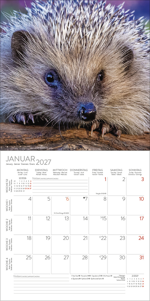 Igel 2027, Innenansicht #1