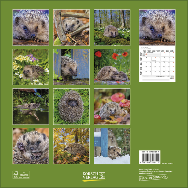 Igel 2027, Innenansicht #13