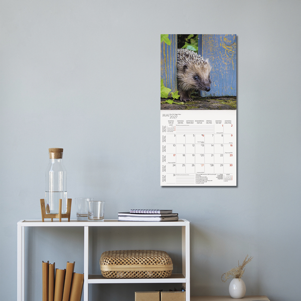 Igel 2027, Innenansicht #16