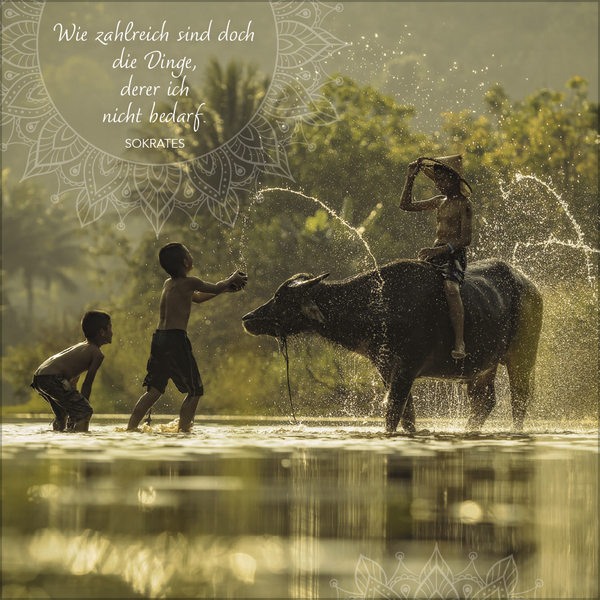 Achtsamkeit 2027, Innenansicht #2