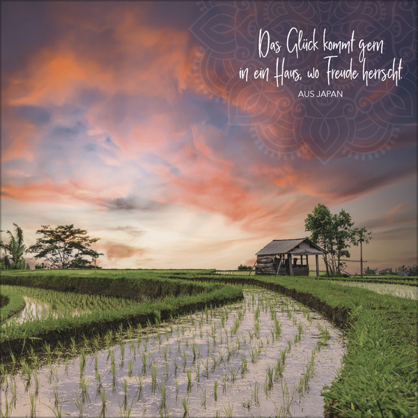 Achtsamkeit 2027, Innenansicht #4