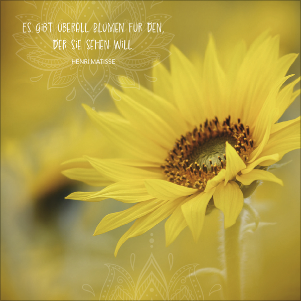 Achtsamkeit 2027, Innenansicht #5