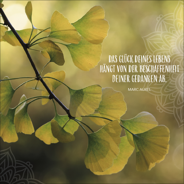 Achtsamkeit 2027, Innenansicht #7