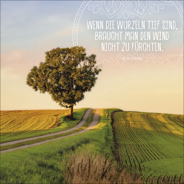 Achtsamkeit 2027, Innenansicht #9