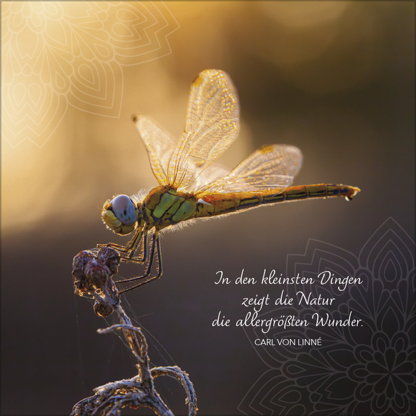 Achtsamkeit 2027, Innenansicht #10