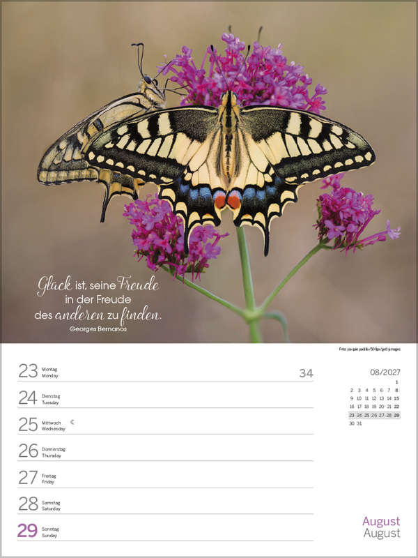 Gl&uuml;cksmomente 2027, Innenansicht #7