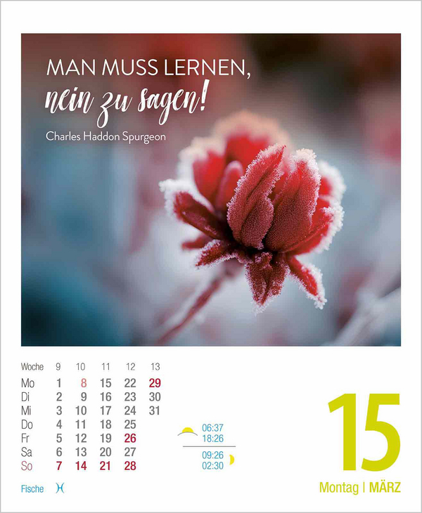 Zeit f&uuml;r mich 2027, Innenansicht #4