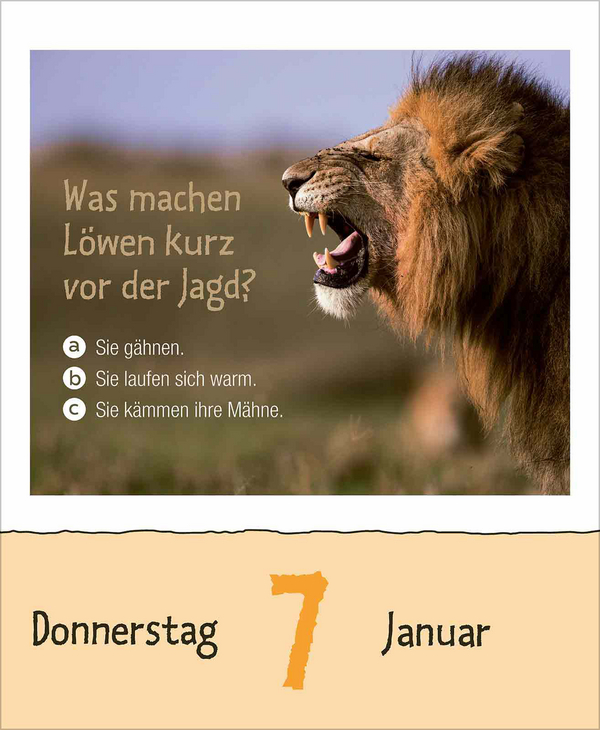 Wie faul ist das Faultier? 2027, Innenansicht #1