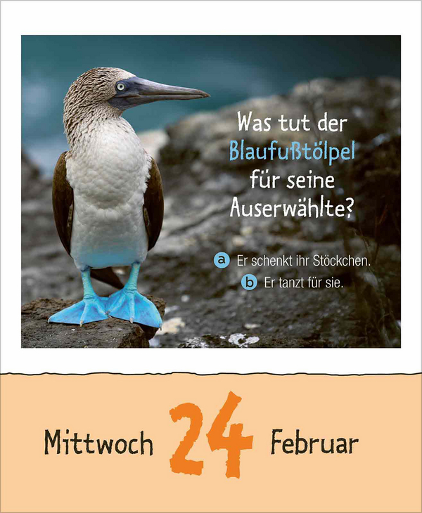 Wie faul ist das Faultier? 2027, Innenansicht #2