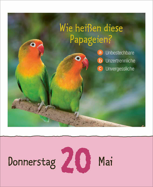 Wie faul ist das Faultier? 2027, Innenansicht #4