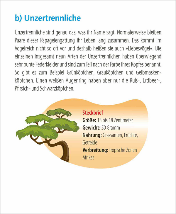 Wie faul ist das Faultier? 2027, Innenansicht #5