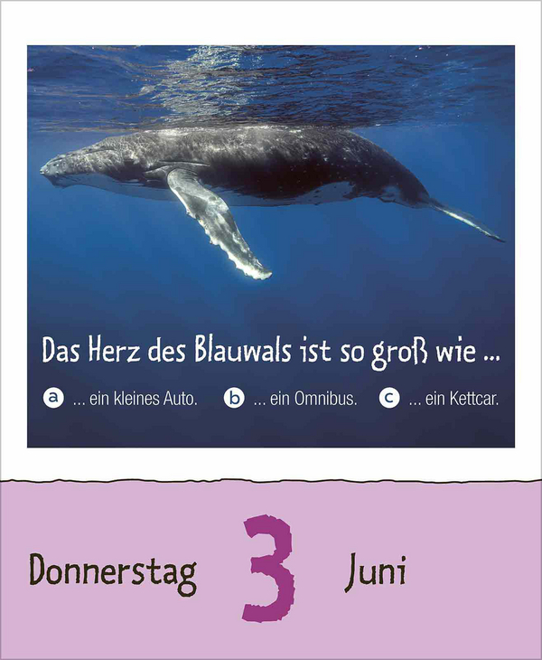 Wie faul ist das Faultier? 2027, Innenansicht #6