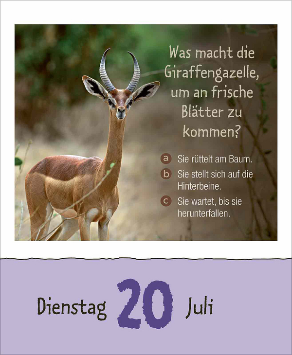 Wie faul ist das Faultier? 2027, Innenansicht #7