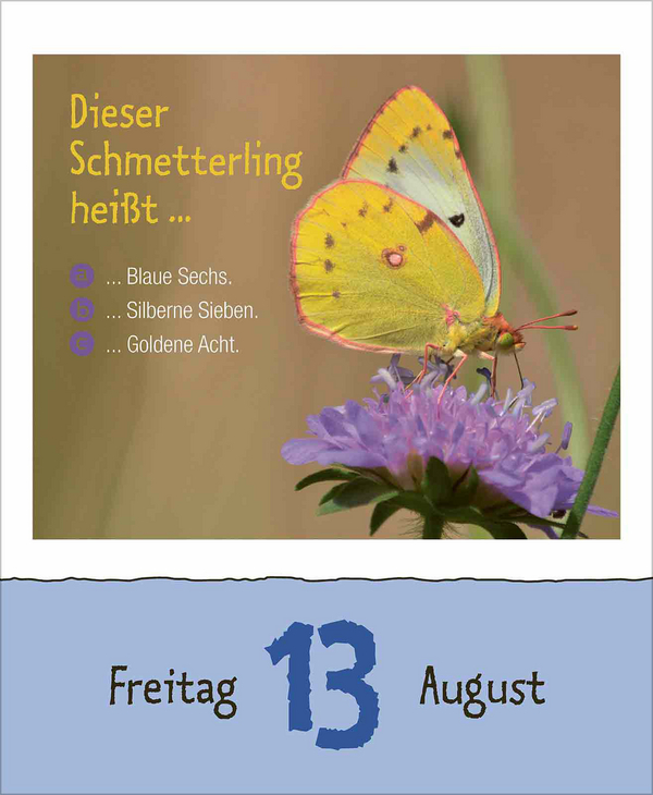 Wie faul ist das Faultier? 2027, Innenansicht #8