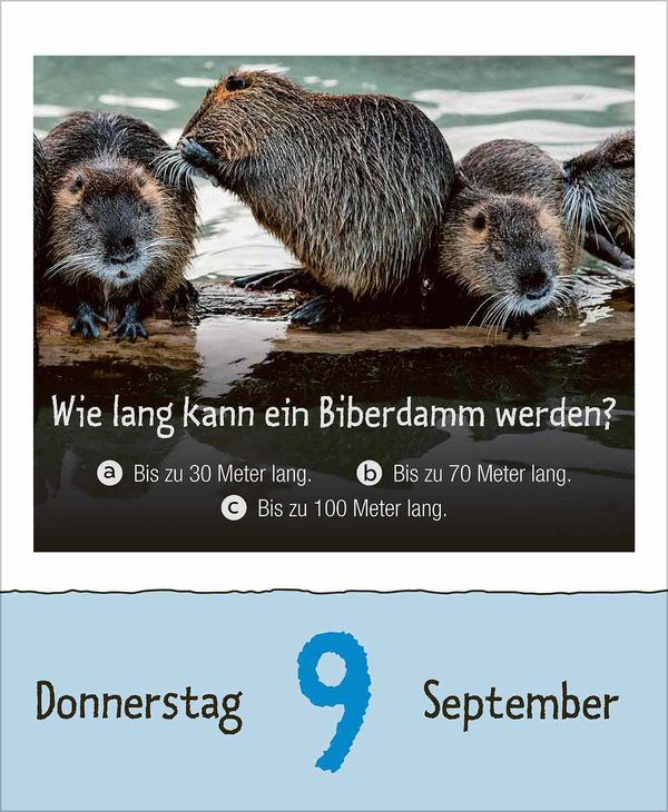 Wie faul ist das Faultier? 2027, Innenansicht #9