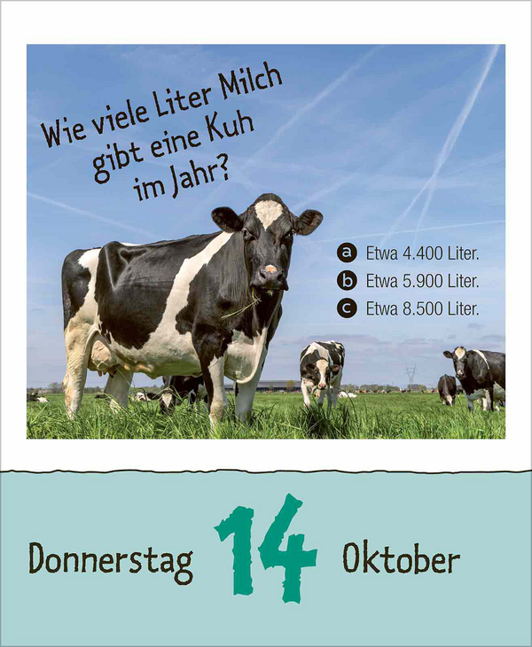 Wie faul ist das Faultier? 2027, Innenansicht #10