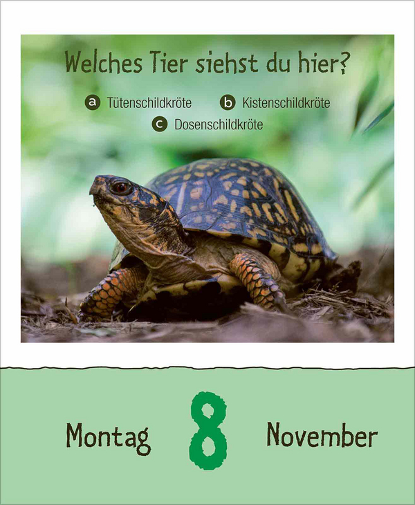 Wie faul ist das Faultier? 2027, Innenansicht #11