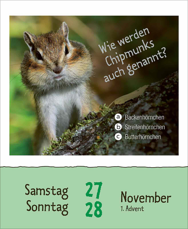 Wie faul ist das Faultier? 2027, Innenansicht #12