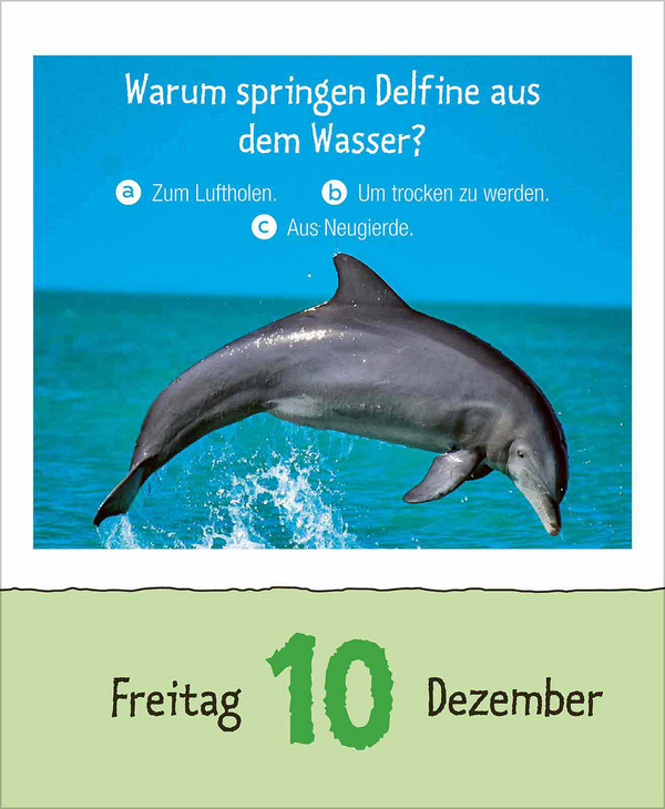 Wie faul ist das Faultier? 2027, Innenansicht #13