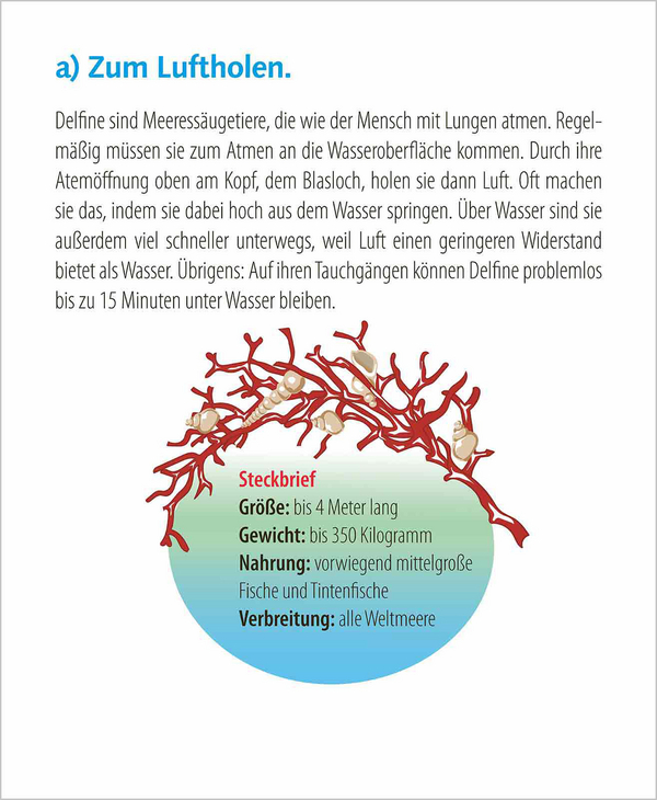 Wie faul ist das Faultier? 2027, Innenansicht #14