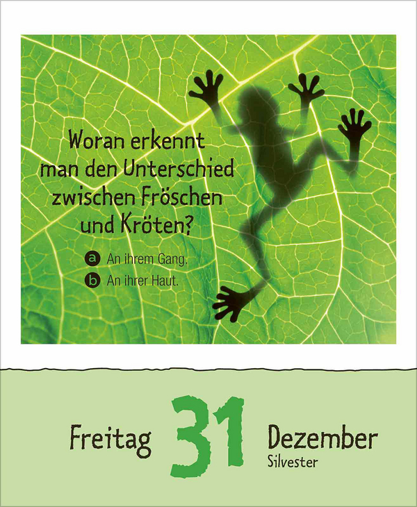 Wie faul ist das Faultier? 2027, Innenansicht #15