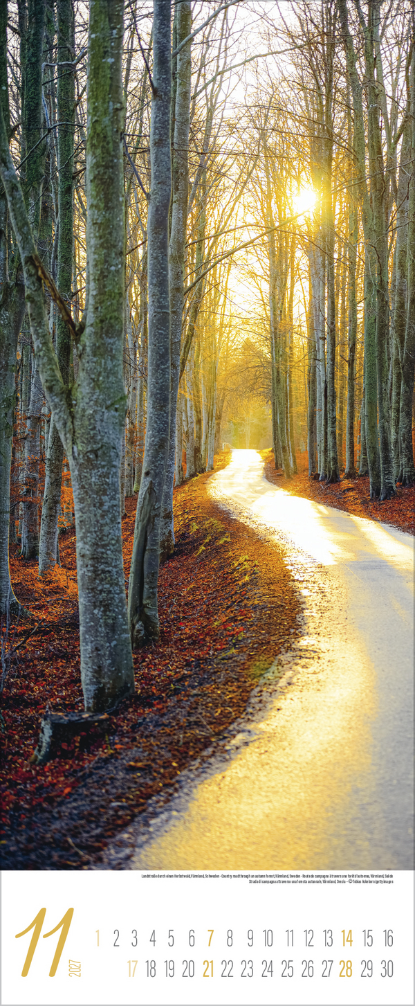 Magische Momente im Norden 2027, Innenansicht #11