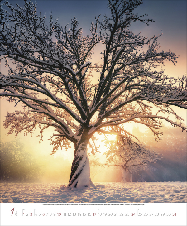 Bezaubernde Augenblicke in der Natur 2027, Innenansicht #1