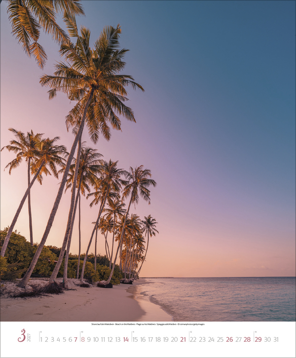 Bezaubernde Augenblicke in der Natur 2027, Innenansicht #3