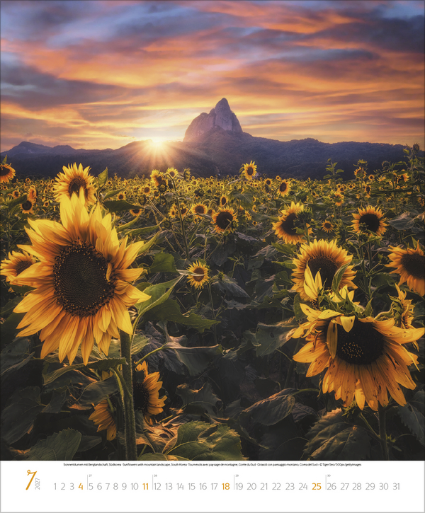 Bezaubernde Augenblicke in der Natur 2027, Innenansicht #7