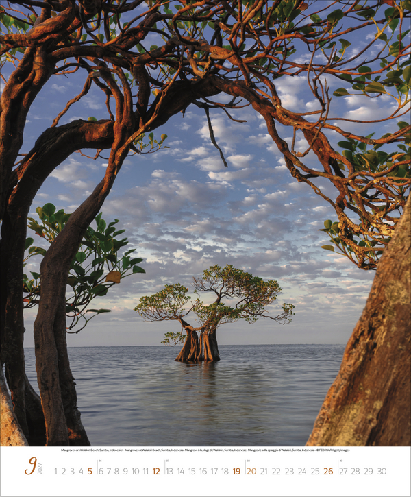 Bezaubernde Augenblicke in der Natur 2027, Innenansicht #9