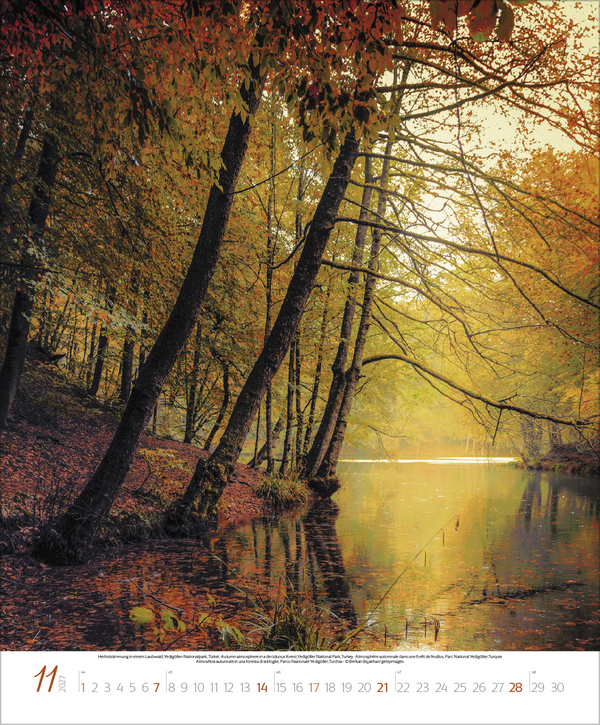 Bezaubernde Augenblicke in der Natur 2027, Innenansicht #11