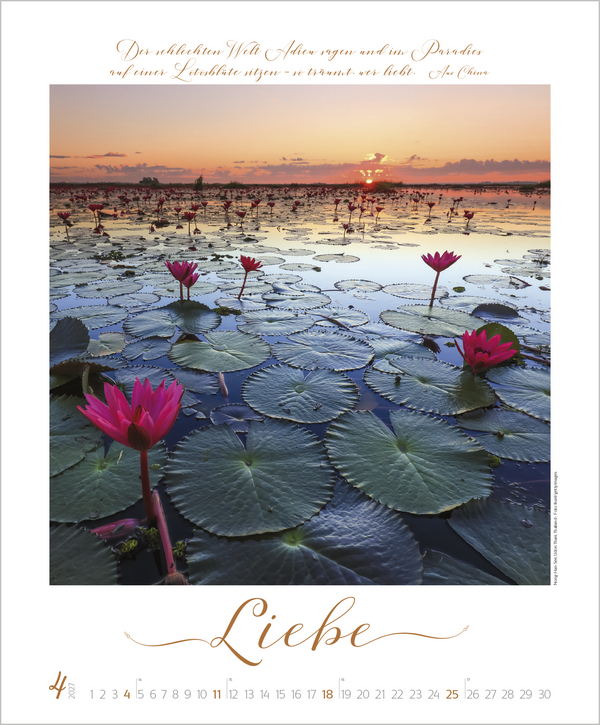 Buddhistische Weisheiten 2027, Innenansicht #4