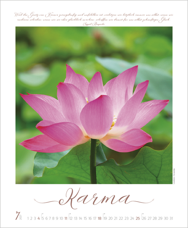 Buddhistische Weisheiten 2027, Innenansicht #7