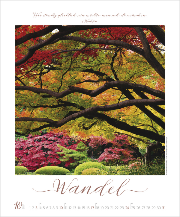 Buddhistische Weisheiten 2027, Innenansicht #10