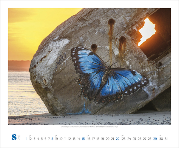 Street Art 2027, Innenansicht #8