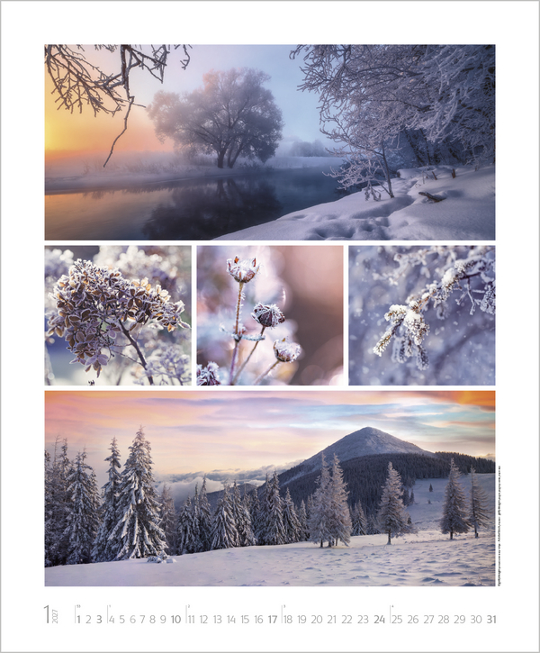 NaturGenuss 2027, Innenansicht #1