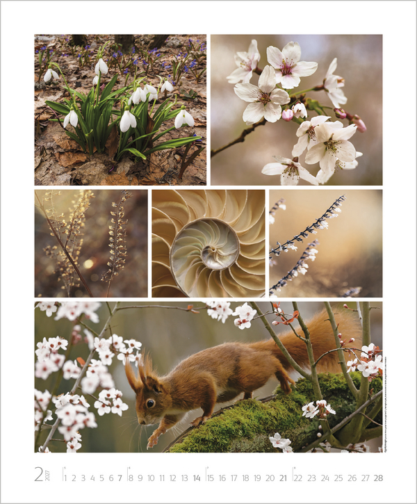 NaturGenuss 2027, Innenansicht #2