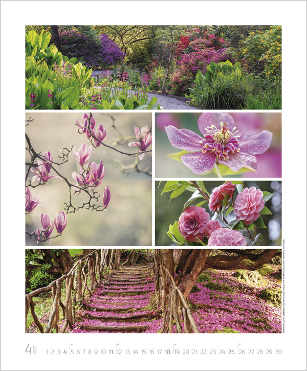 NaturGenuss 2027, Innenansicht #4