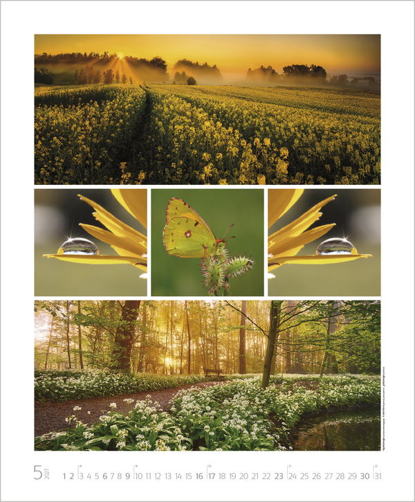 NaturGenuss 2027, Innenansicht #5