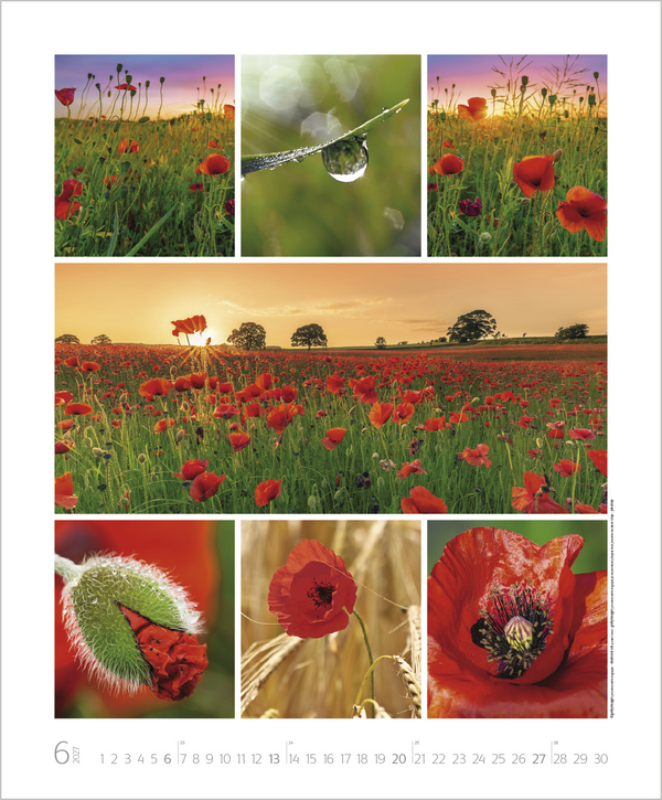 NaturGenuss 2027, Innenansicht #6