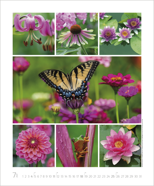 NaturGenuss 2027, Innenansicht #7