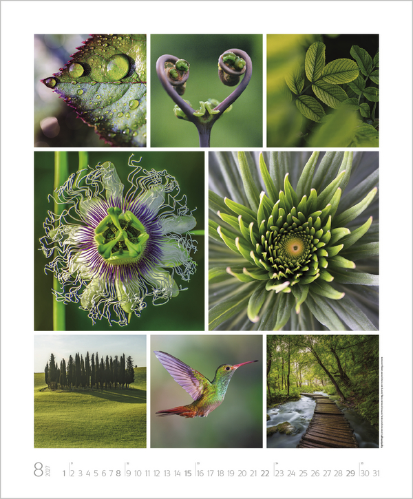 NaturGenuss 2027, Innenansicht #8