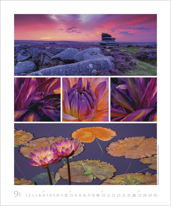 NaturGenuss 2027, Innenansicht #9